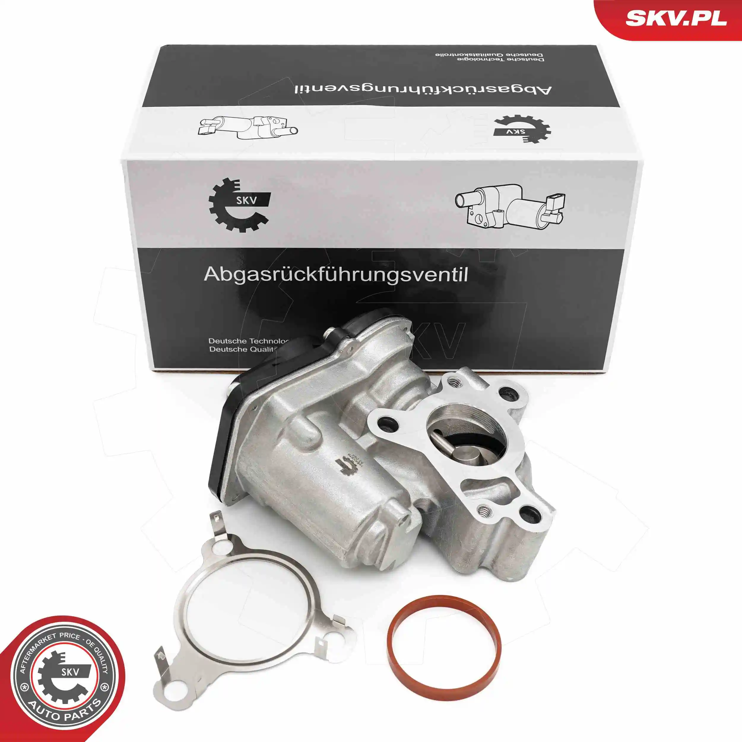 EGR Valve